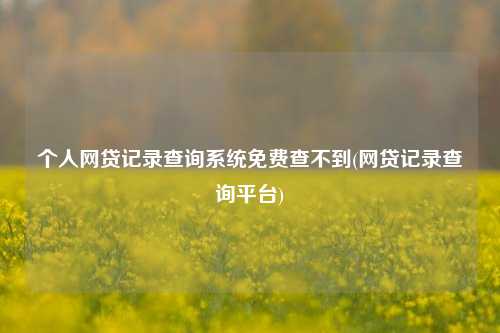 个人网贷记录查询系统免费查不到(网贷记录查询平台)