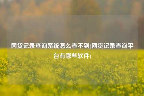 网贷记录查询系统怎么查不到(网贷记录查询平台有哪些软件)