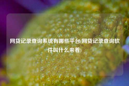 网贷记录查询系统有哪些平台(网贷记录查询软件叫什么来着)