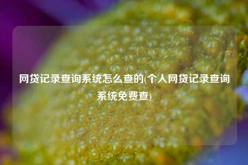 网贷记录查询系统怎么查的(个人网贷记录查询系统免费查)