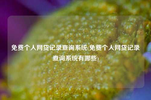 免费个人网贷记录查询系统(免费个人网贷记录查询系统有哪些)