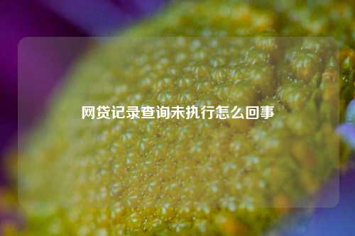 网贷记录查询未执行怎么回事