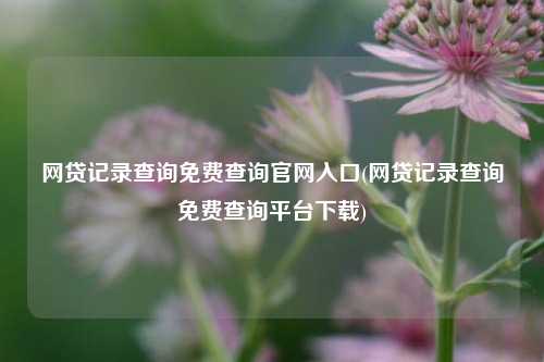 网贷记录查询免费查询官网入口(网贷记录查询免费查询平台下载)