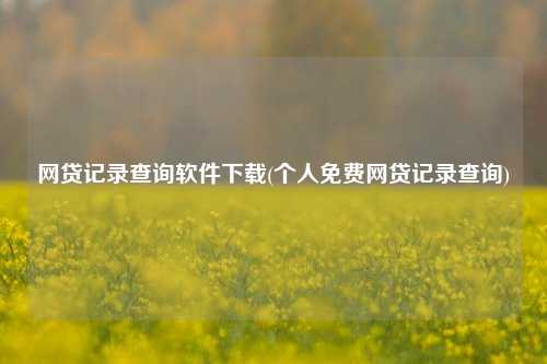 网贷记录查询软件下载(个人免费网贷记录查询)