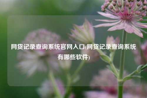 网贷记录查询系统官网入口(网贷记录查询系统有哪些软件)