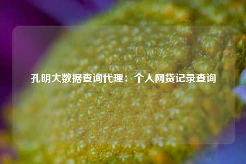 孔明大数据查询代理：个人网贷记录查询