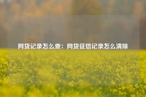 网贷记录怎么查：网贷征信记录怎么清除