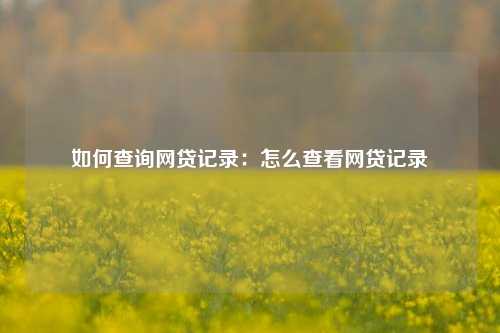 如何查询网贷记录：怎么查看网贷记录