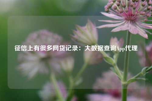 征信上有很多网贷记录：大数据查询App代理