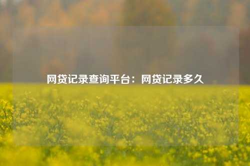 网贷记录查询平台：网贷记录多久