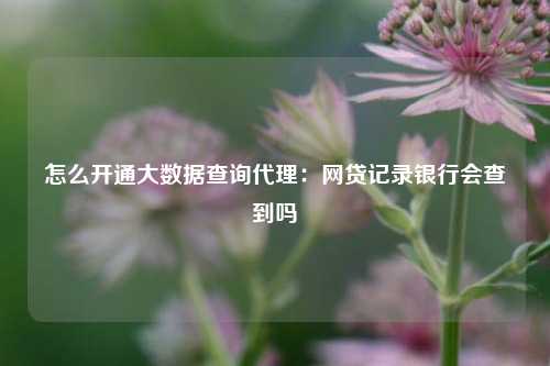 怎么开通大数据查询代理：网贷记录银行会查到吗