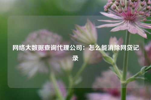 网络大数据查询代理公司：怎么能消除网贷记录