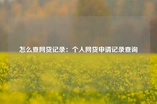 怎么查网贷记录：个人网贷申请记录查询