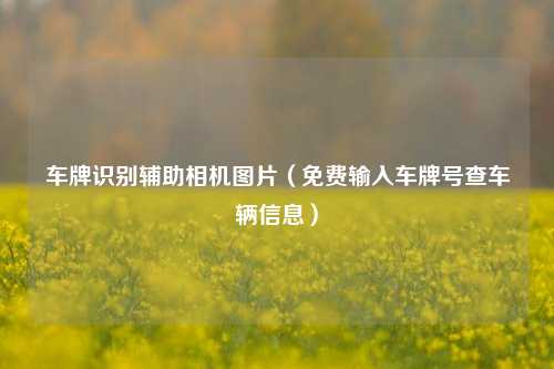 车牌识别辅助相机图片（免费输入车牌号查车辆信息）