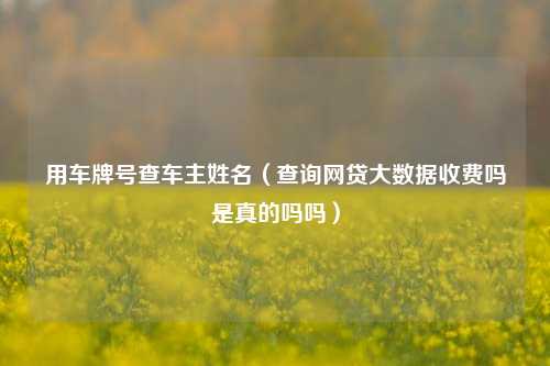 用车牌号查车主姓名（查询网贷大数据收费吗是真的吗吗）