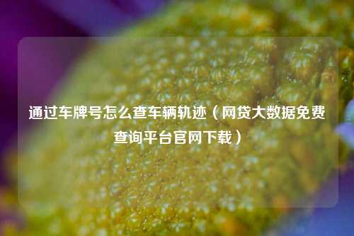 通过车牌号怎么查车辆轨迹（网贷大数据免费查询平台官网下载）