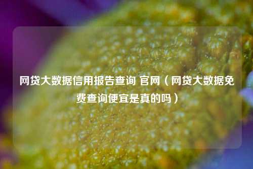 网贷大数据信用报告查询 官网（网贷大数据免费查询便宜是真的吗）