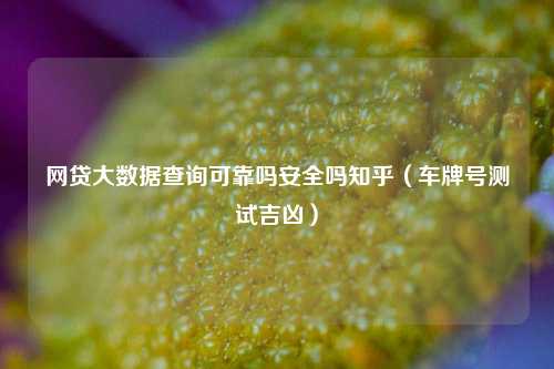 网贷大数据查询可靠吗安全吗知乎（车牌号测试吉凶）