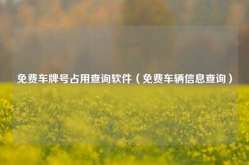 免费车牌号占用查询软件（免费车辆信息查询）