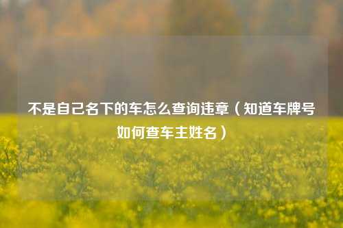 不是自己名下的车怎么查询违章（知道车牌号如何查车主姓名）