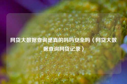 网贷大数据查询是真的吗吗安全吗（网贷大数据查询网贷记录）