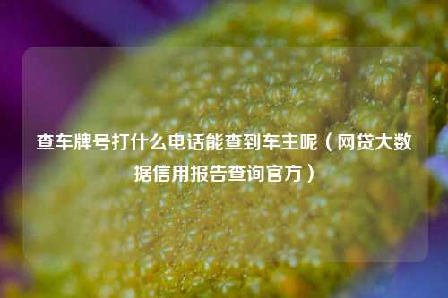 查车牌号打什么电话能查到车主呢（网贷大数据信用报告查询官方）