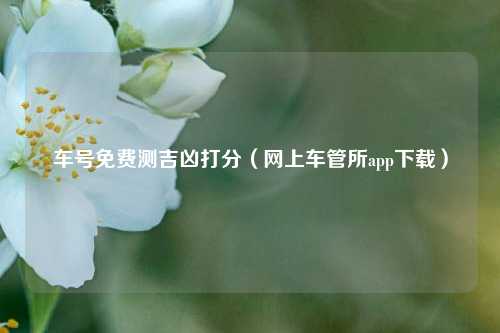 车号免费测吉凶打分（网上车管所app下载）