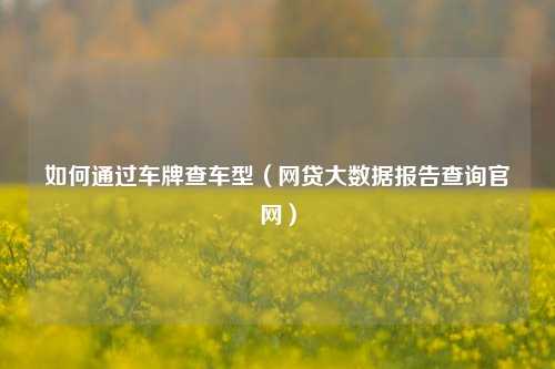 如何通过车牌查车型（网贷大数据报告查询官网）