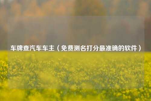 车牌查汽车车主（免费测名打分最准确的软件）