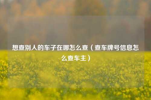 想查别人的车子在哪怎么查（查车牌号信息怎么查车主）