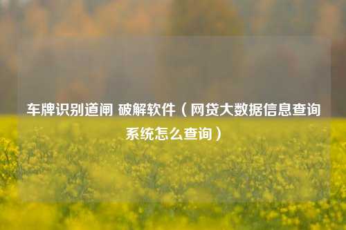 车牌识别道闸 破解软件（网贷大数据信息查询系统怎么查询）