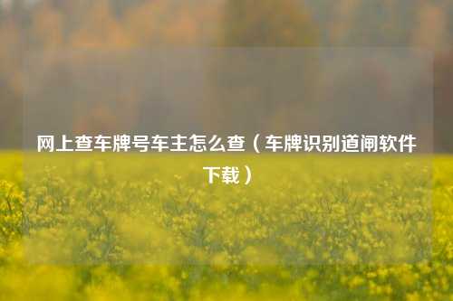 网上查车牌号车主怎么查（车牌识别道闸软件下载）