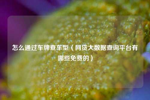 怎么通过车牌查车型（网贷大数据查询平台有哪些免费的）