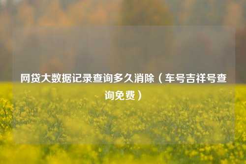 网贷大数据记录查询多久消除（车号吉祥号查询免费）