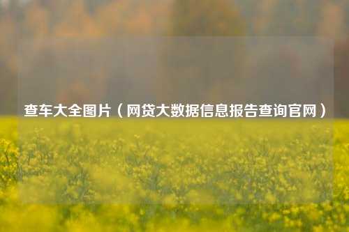 查车大全图片（网贷大数据信息报告查询官网）