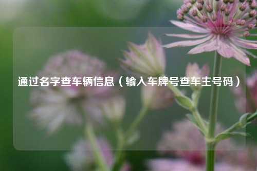 通过名字查车辆信息（输入车牌号查车主号码）