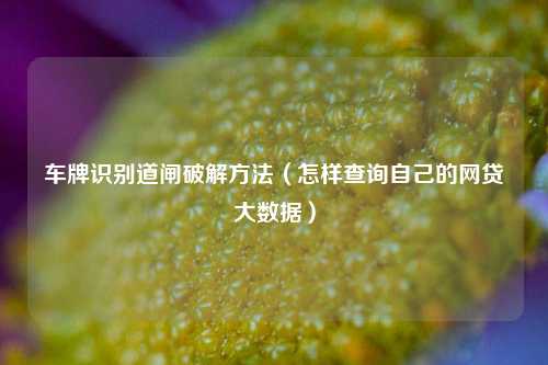 车牌识别道闸破解方法（怎样查询自己的网贷大数据）