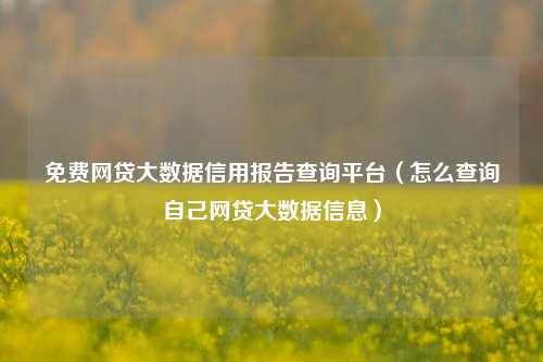 免费网贷大数据信用报告查询平台（怎么查询自己网贷大数据信息）