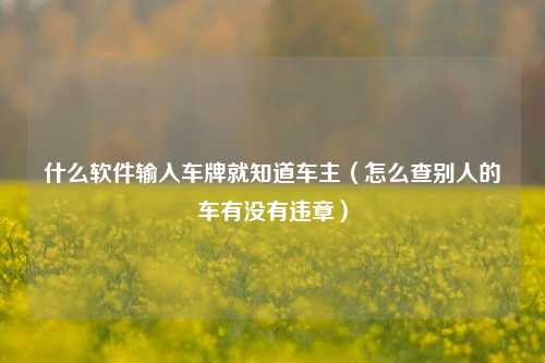 什么软件输入车牌就知道车主（怎么查别人的车有没有违章）