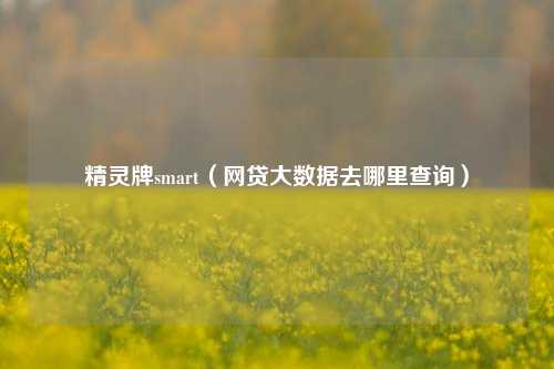 精灵牌smart（网贷大数据去哪里查询）