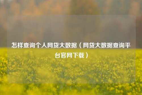 怎样查询个人网贷大数据（网贷大数据查询平台官网下载）