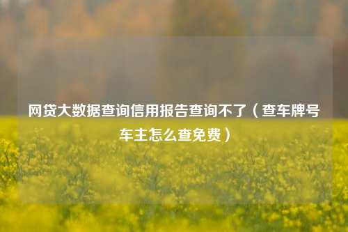 网贷大数据查询信用报告查询不了（查车牌号车主怎么查免费）