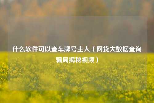 什么软件可以查车牌号主人（网贷大数据查询骗局揭秘视频）