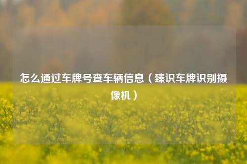 怎么通过车牌号查车辆信息（臻识车牌识别摄像机）