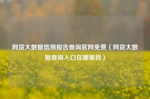 网贷大数据信用报告查询官网免费（网贷大数据查询入口在哪里找）