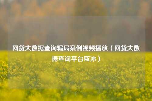 网贷大数据查询骗局案例视频播放（网贷大数据查询平台蓝冰）