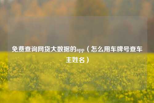 免费查询网贷大数据的app（怎么用车牌号查车主姓名）