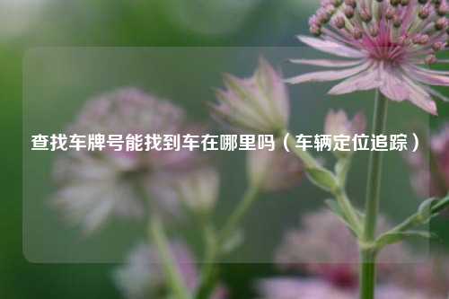 查找车牌号能找到车在哪里吗（车辆定位追踪）