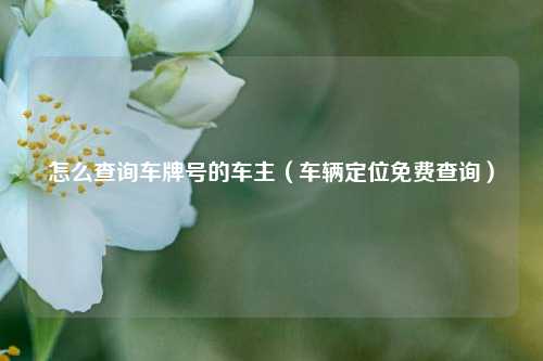 怎么查询车牌号的车主（车辆定位免费查询）