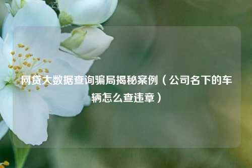 网贷大数据查询骗局揭秘案例（公司名下的车辆怎么查违章）